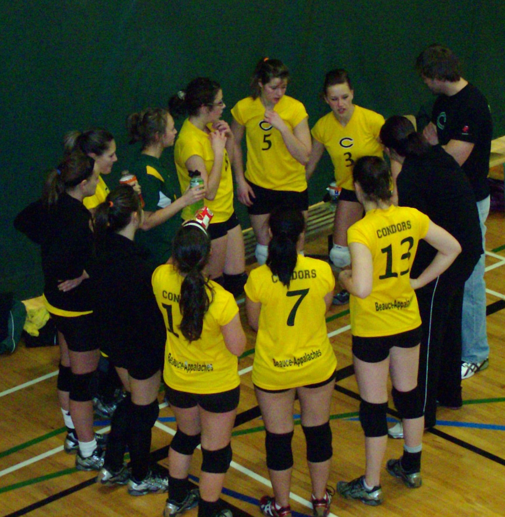Les Condors sont champions de la saison régulière en volleyball A
