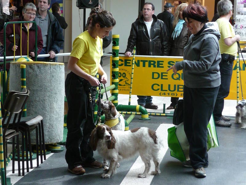 5e Salon Info-canin:Frénésie canine au Carrefour Saint-Georges