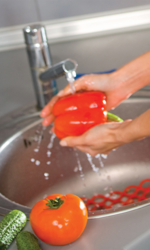 Guichet unique pour obtenir des renseignements sur la salubrité des aliments