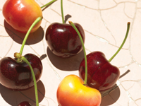 Savourez les cerises comme un connaisseur