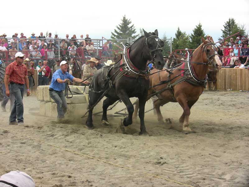 Fin spectaculaire pour Nashville en Beauce