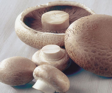 Manger des champignons aide à nous maintenir en santé