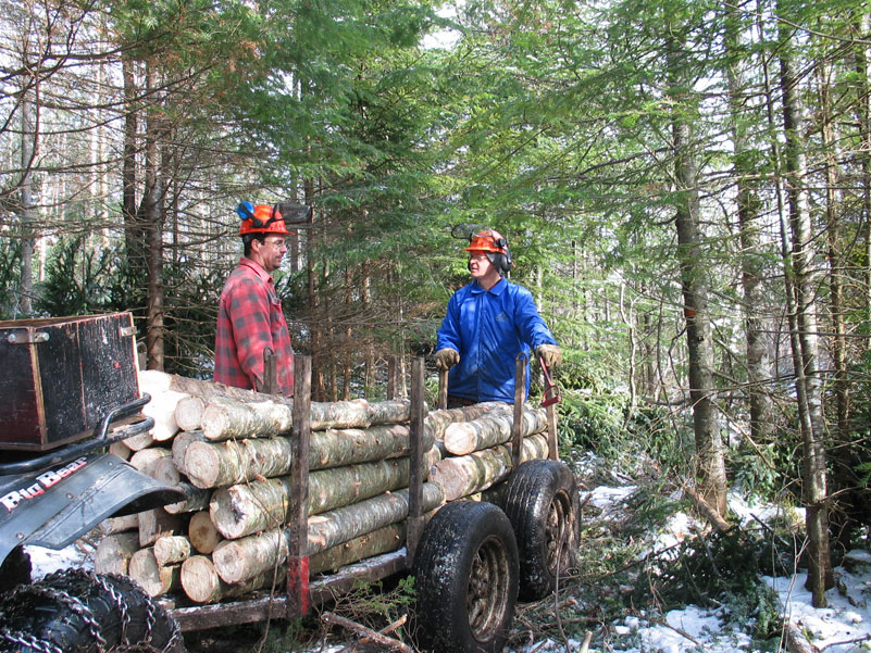 Les effets de la crise se feront encore sentir pour la forêt privée en 2011