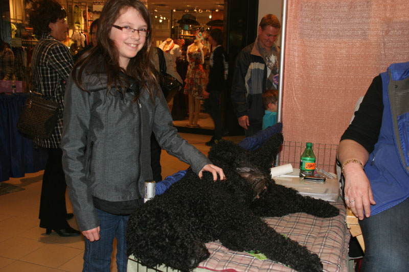 Salon Info-canin : Le chien, meilleur ami de l’homme
