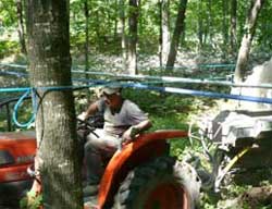 L'acériculture sera à l'honneur au 5e Souper des forestiers