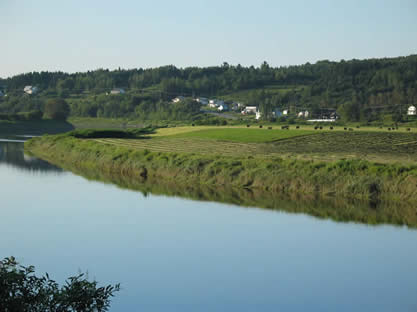 COBARIC remettra des arbres pour les propriétaires riverains
