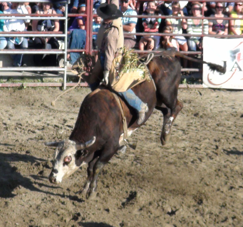 Les Festivités western de Saint-Victor s'amorcent vendredi