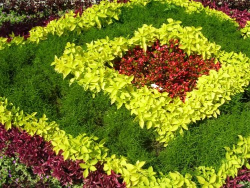 Vers, insectes et limaces : comment lutter contre les pires ennemis des jardiniers