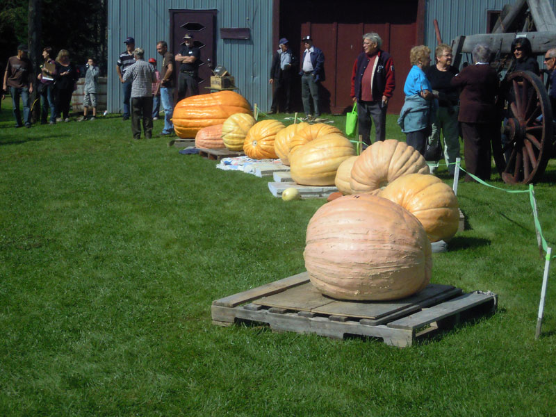 La Fête de l’automne bat son plein au Village des Défricheurs!