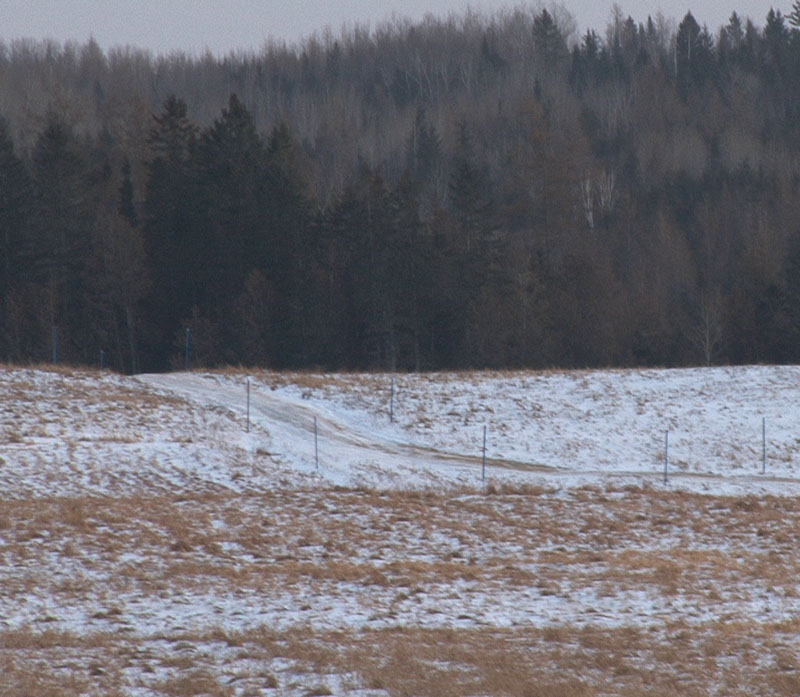 Les motoneigistes veulent de la neige