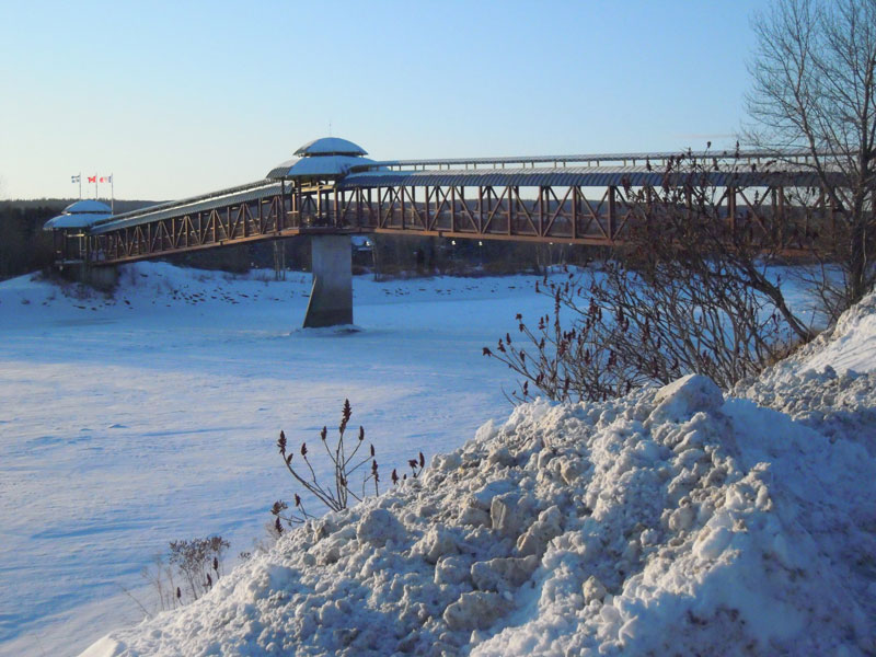 Un hiver pas comme les autres