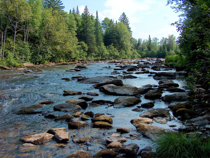 Le Comité de restauration de la rivière Etchemin lance sa campagne de financement