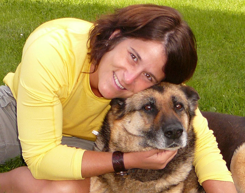La SPA tiendra un séminaire en comportement canin