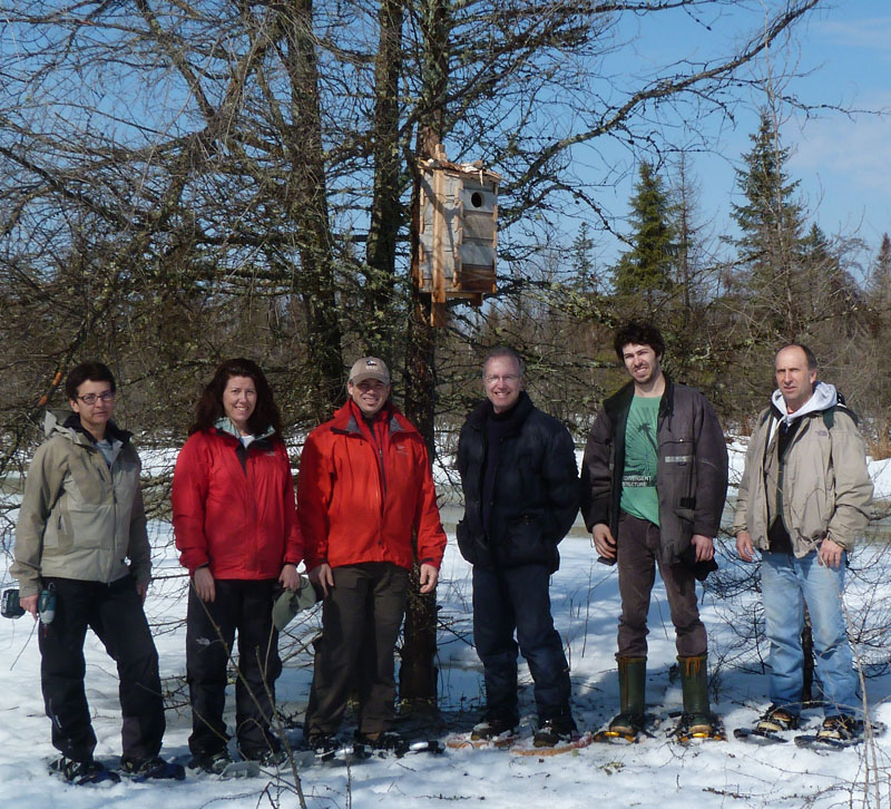 Des nichoirs pour les canards branchus
