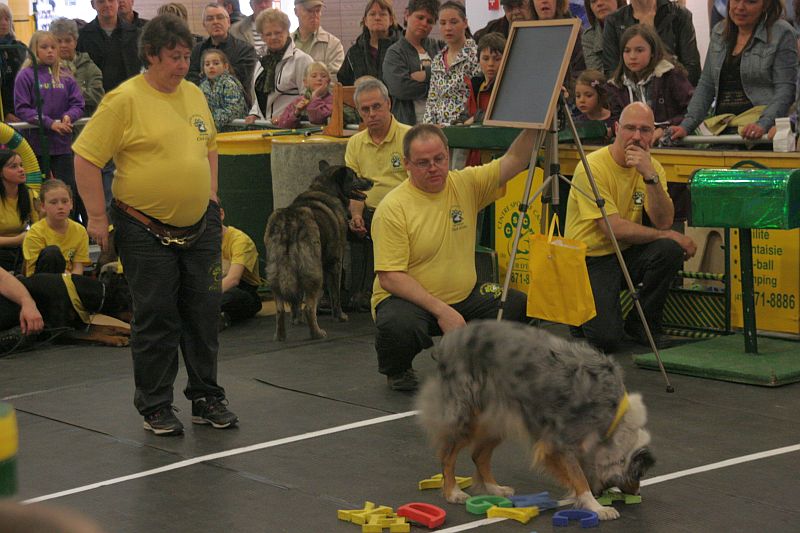 Le Carrefour Saint-Georges fait place à la race canine