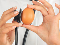 Les études démontrent qu'un œuf par jour, c'est bon pour la santé