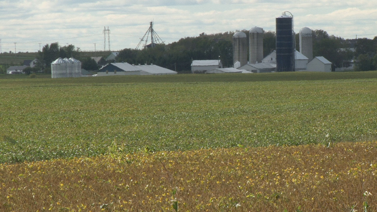 Agriculture: Un début de saison satisfaisant
