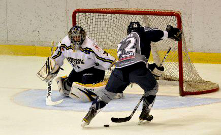 Plusieurs Beaucerons évolueront dans la LHJMQ en 2012-2013