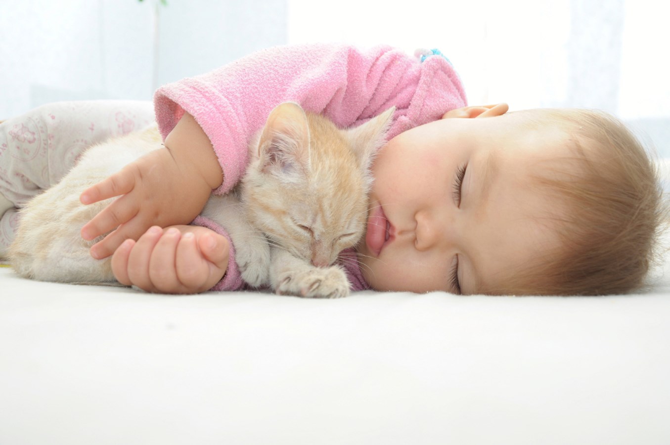 Bébé arrive, préparez votre chat !