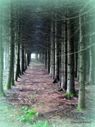 sentier perdu(beauceville)