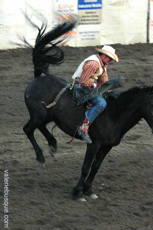 Festival Western