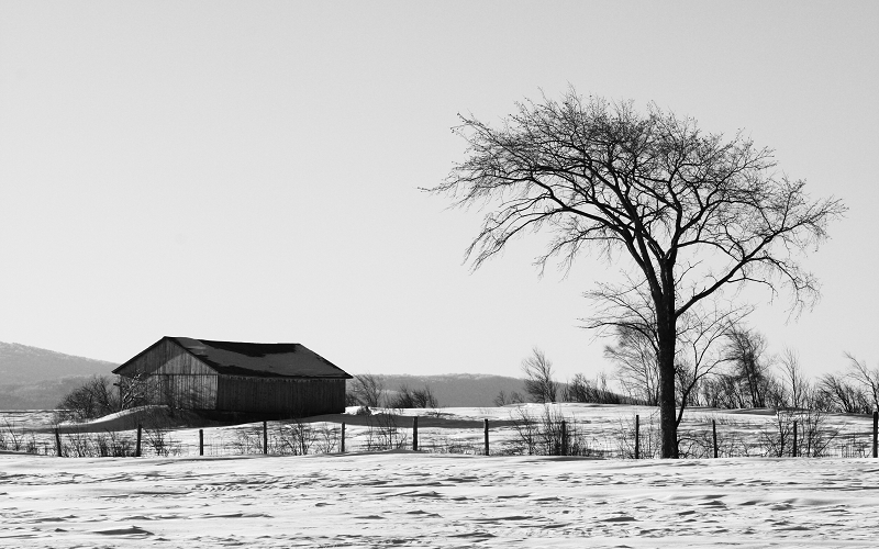 Paysage rural