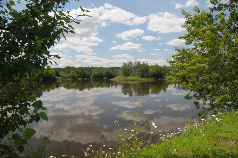 Enfin l'été!