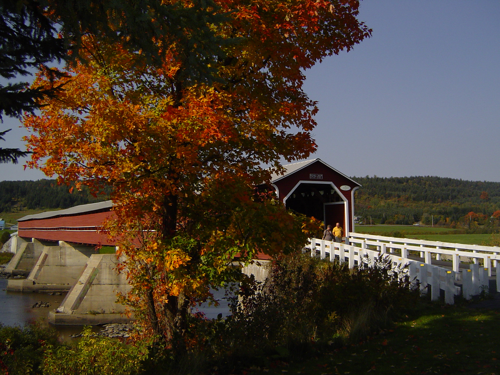 un bel automne