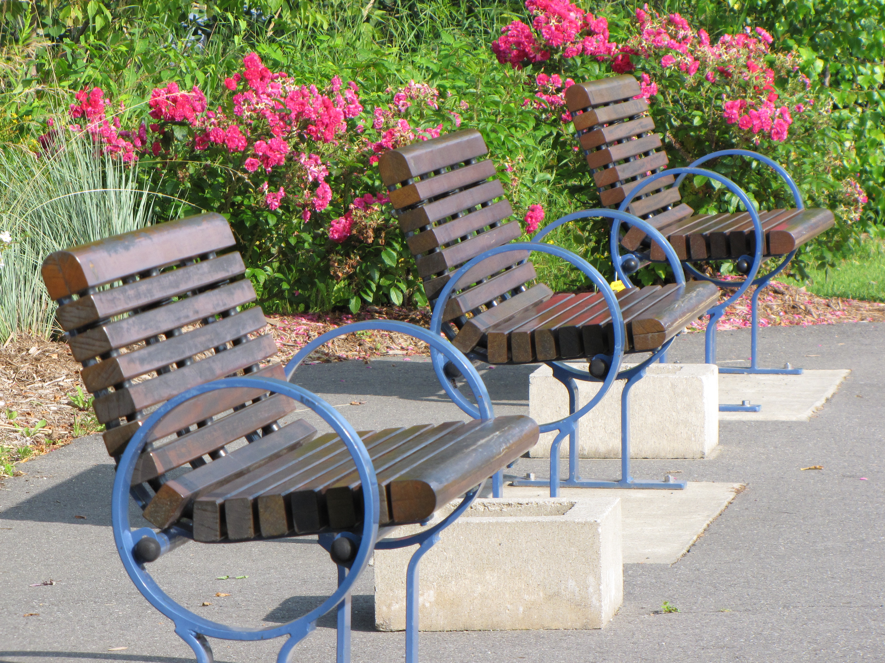 Bancs