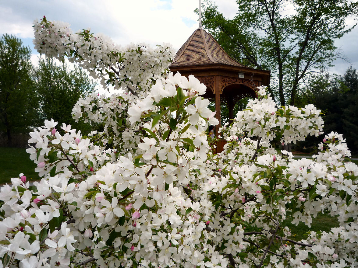 Arboretum