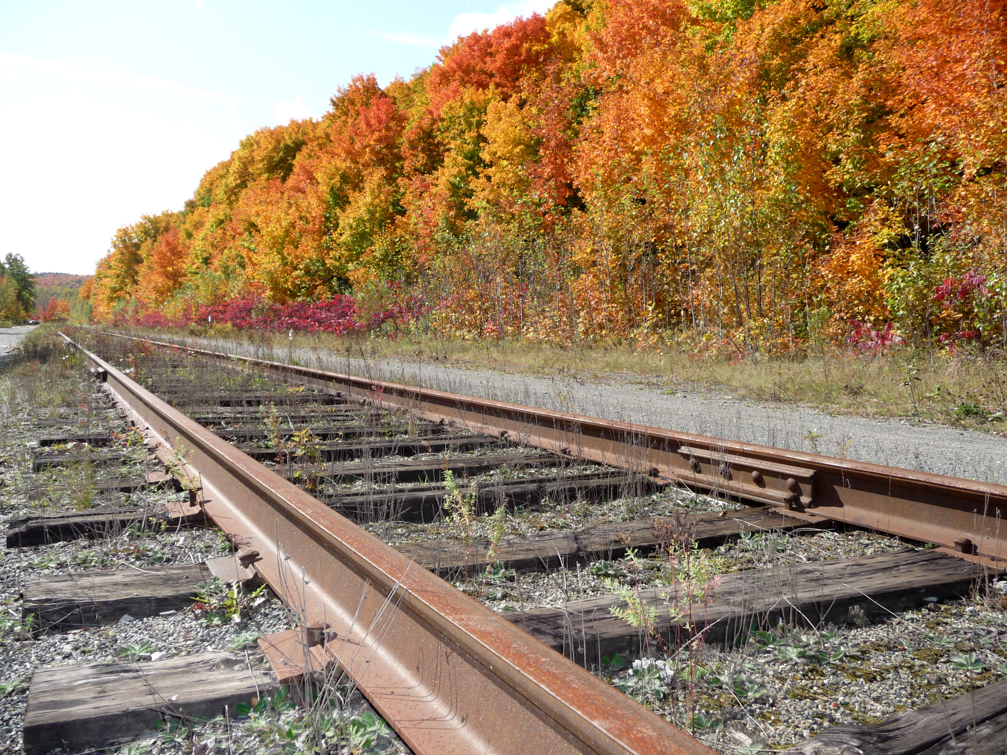 Chemin en couleur