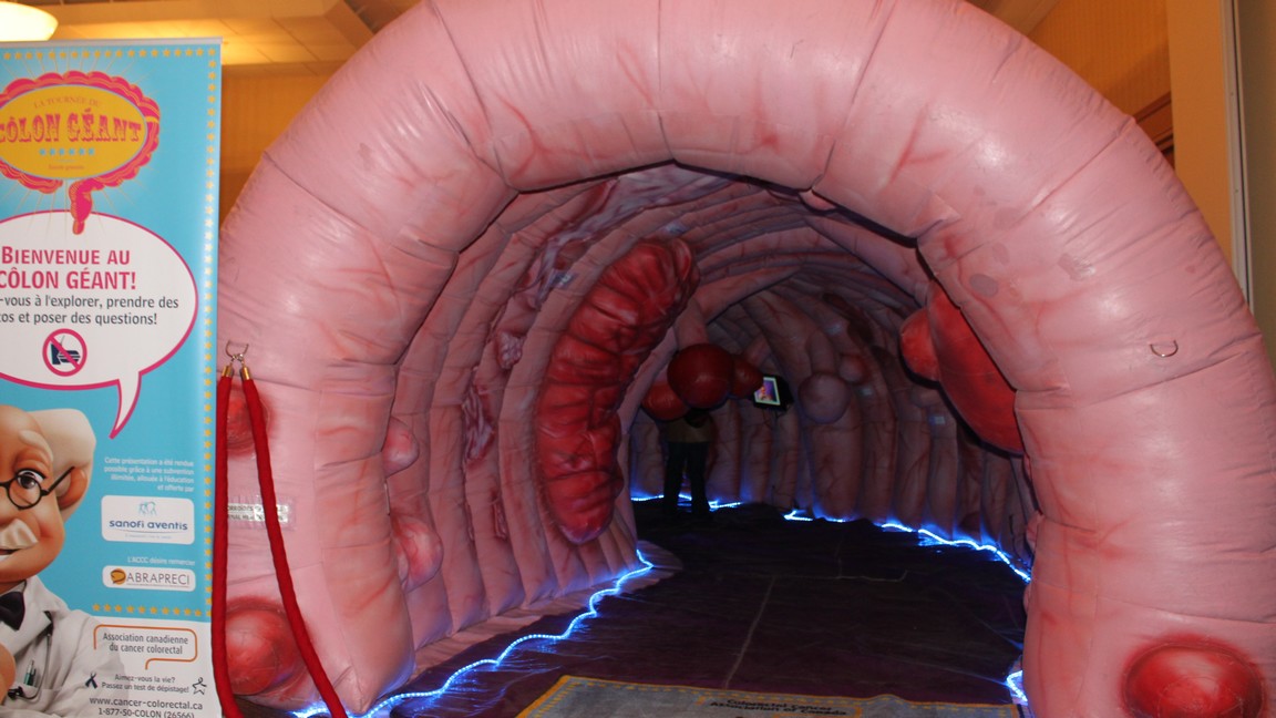 Entrée du "côlon géant"