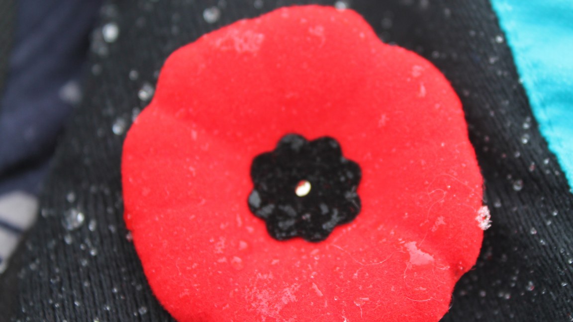 Le Coquelicot, symbole du Jour du Souvenir