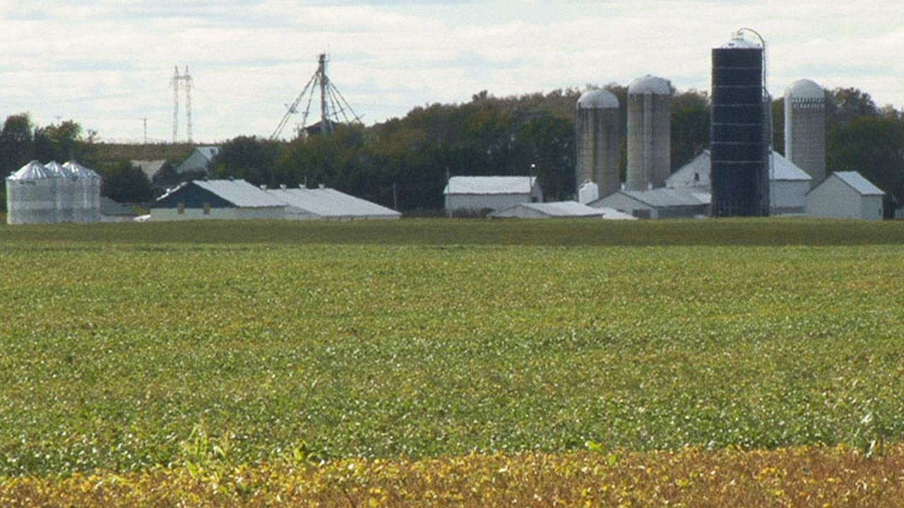 C’est le 22 novembre à son siège social de New York que l’Organisation des Nations Unies (ONU) procédait au lancement de l’Année internationale de l’agriculture familiale (AIAF 2014).