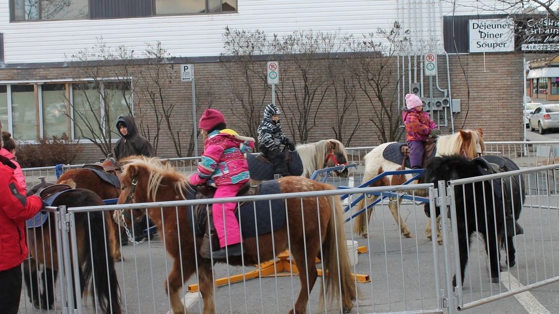 Les enfants pouvaient faire un tour de poney à l'occasion du Marché de Noël