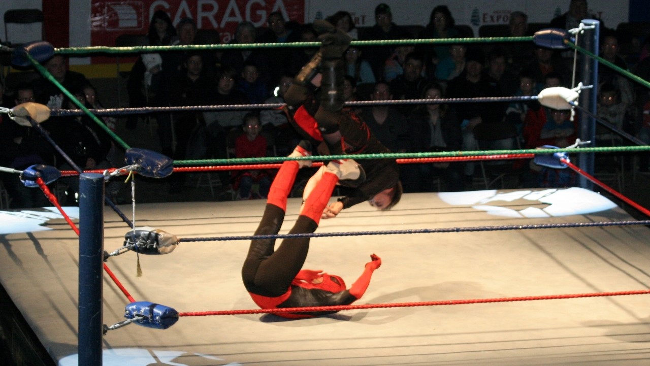 Spiderweb est revenu en force sous les encouragements de la foule pour remporter son combat.