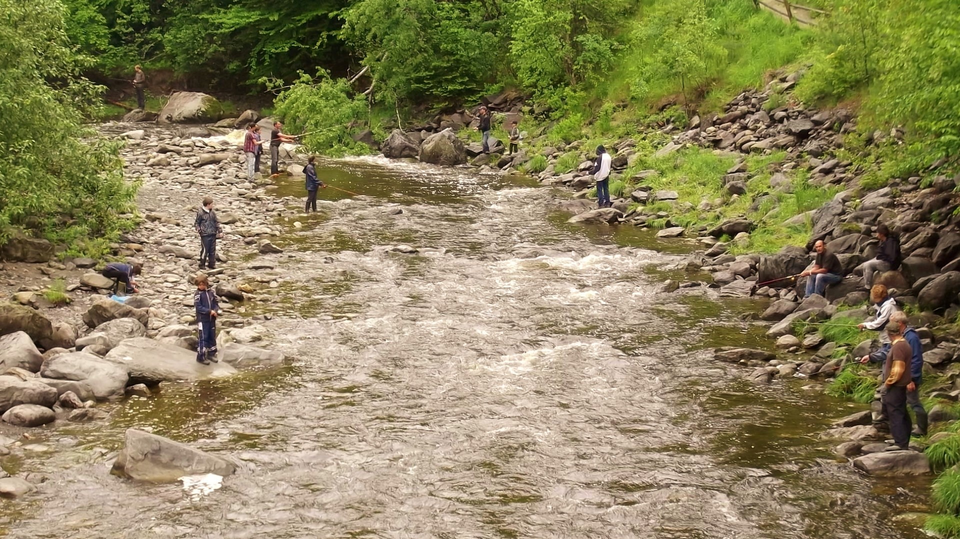Plus de 7000 truites ont été relĉhés à la rivière