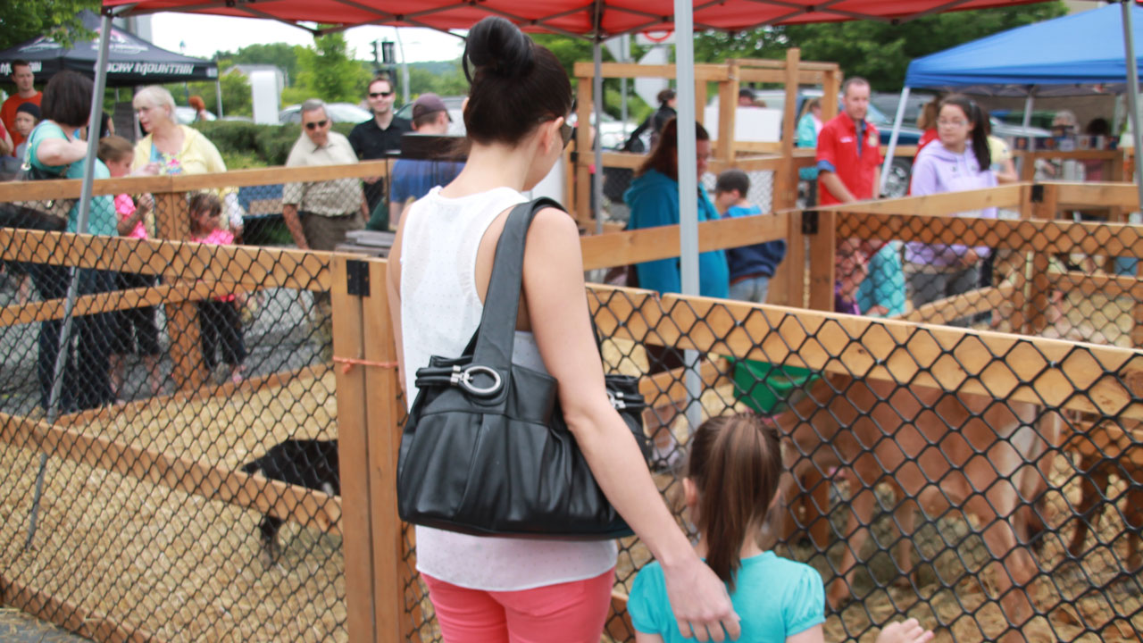 Festi-mini a attiré les familles.