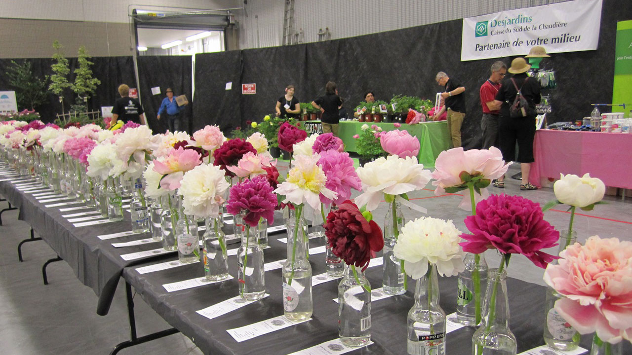 Le concours de fleurs était organisé.