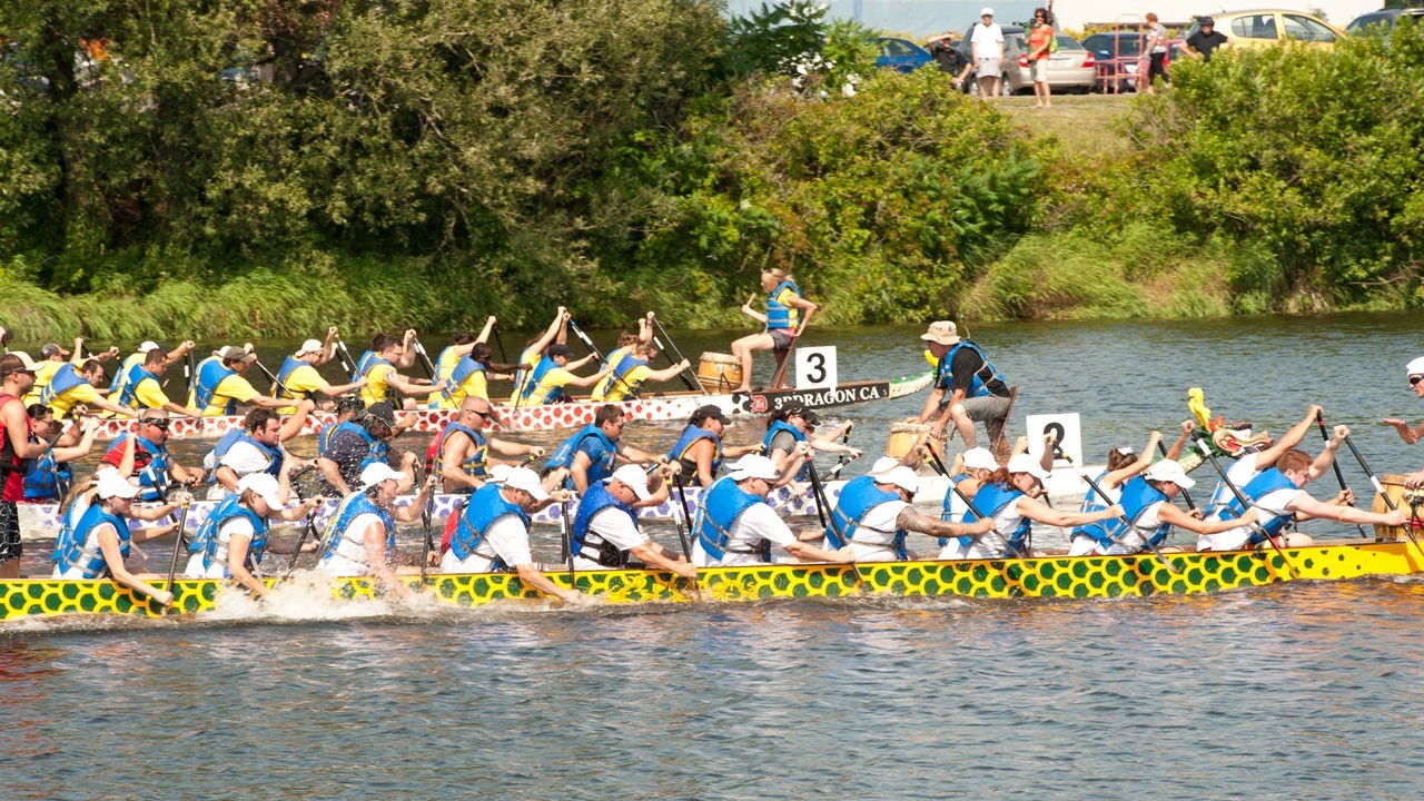 Il s'agira cette année de la cinquième édition de la Course des bateaux-dragons.
