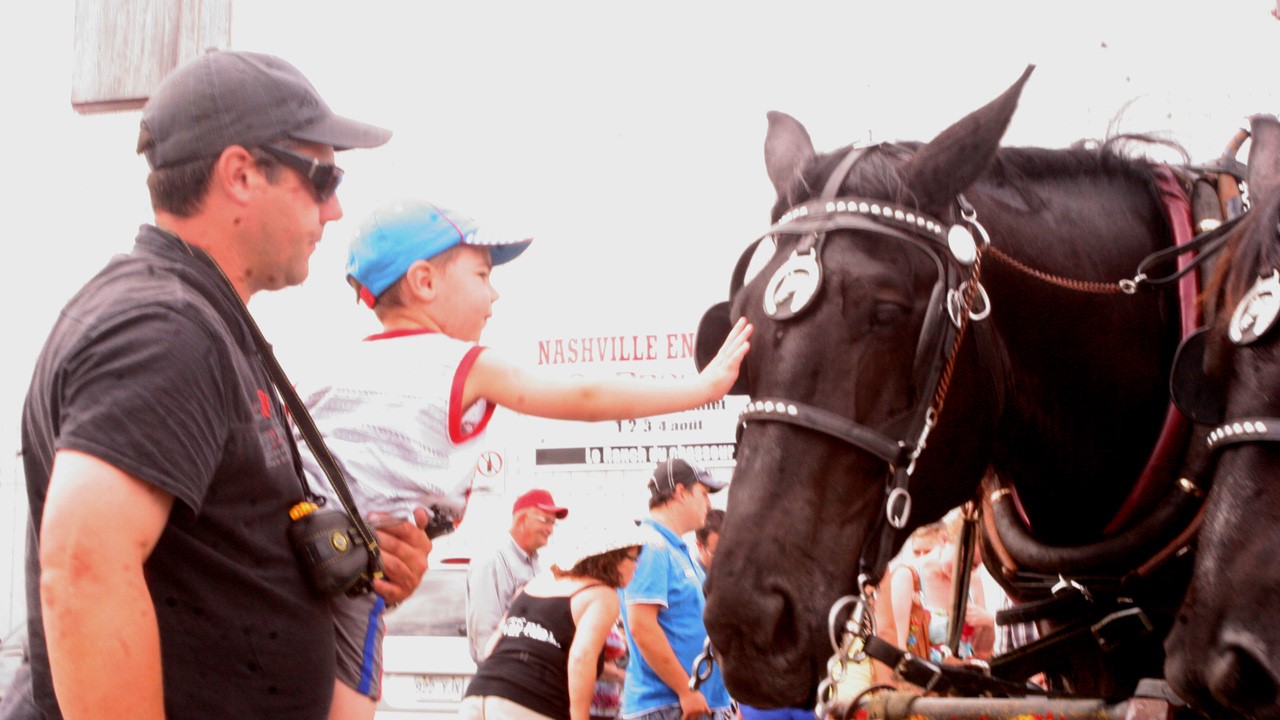 Les chevaux étaient encore une fois très populaire auprès du jeune public.
