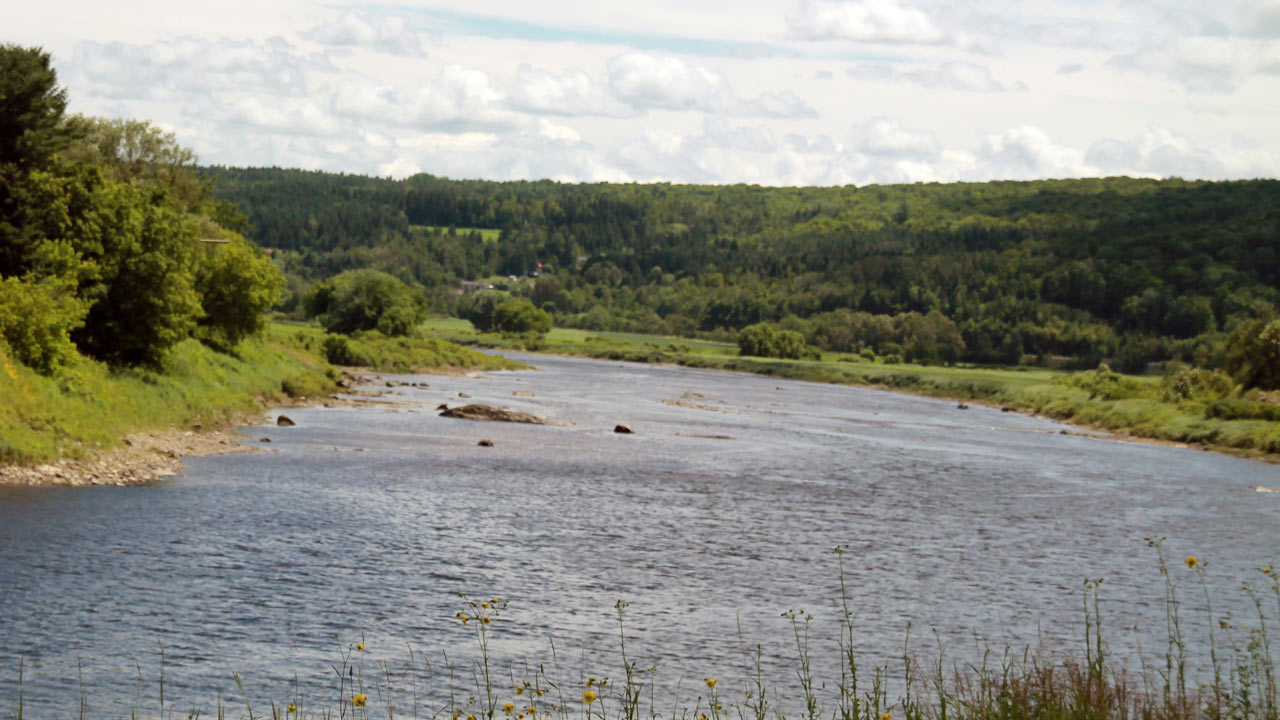 Le MAPAQ avise que les animaux ne doivent pas s'abreuver dans la rivière Chaudière.