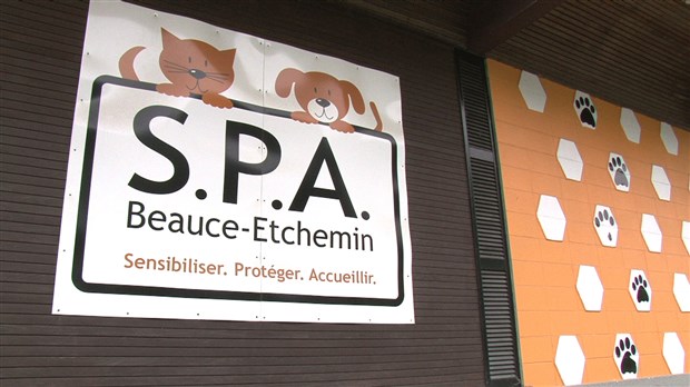 Contrôle animalier à Saint-Georges : une décision sera rendue lundi