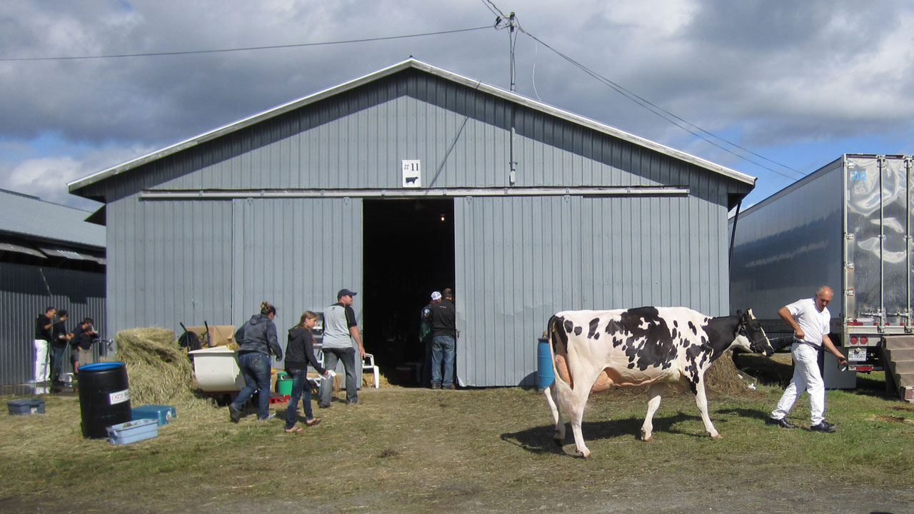 Exposition agricole de Beauce