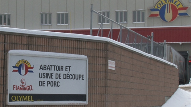 Olymel interrompt ses activités à Vallée-Jonction