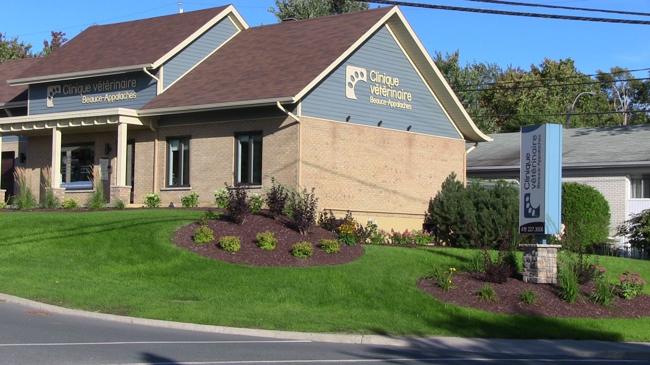 La Clinique vétérinaire Beauce-Appalaches de la 144e Rue a été choisie prix Coup de cœur Volet commercial