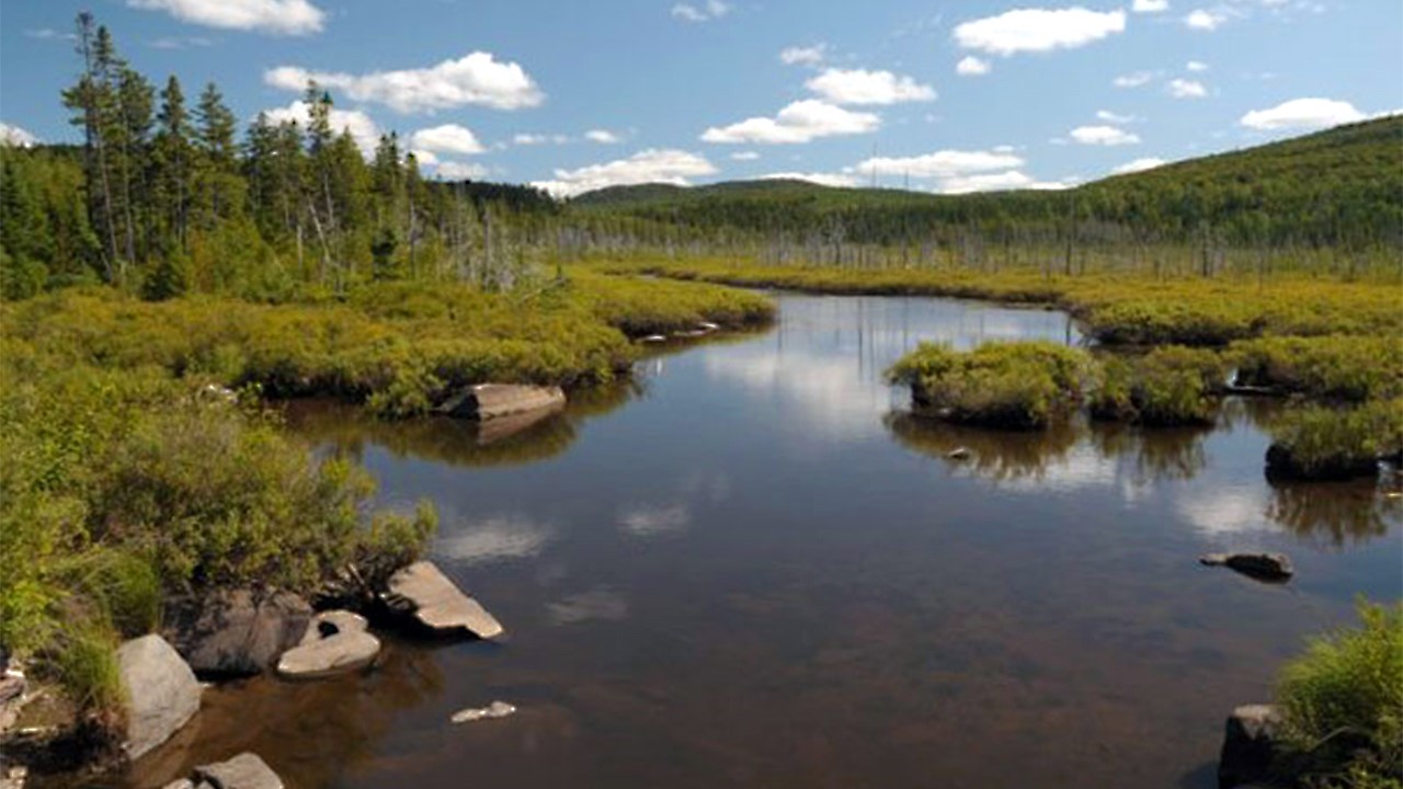 Nouvelle station d’enregistrement de la faune à Sainte-Marie