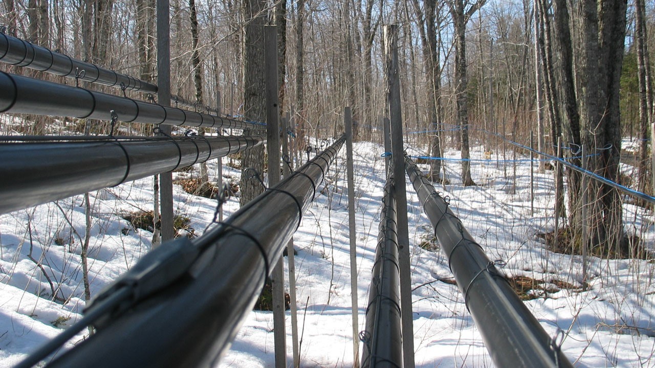 En collaboration avec le Réseau Agriconseils de la Chaudière-Appalaches, l’Association des propriétaires de boisés de la Beauce invite les acériculteurs à la conférence «Haut vacuum, haut rendement… plus d’argent», par M. Michel Cloutier, spécialiste des érablières au sein de l’Association.