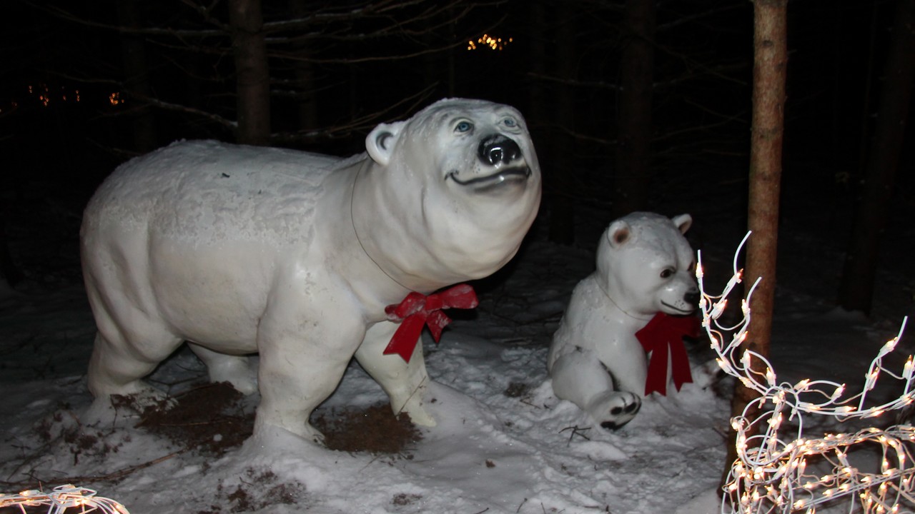 Que serait Noël sans quelques ours polaires?
