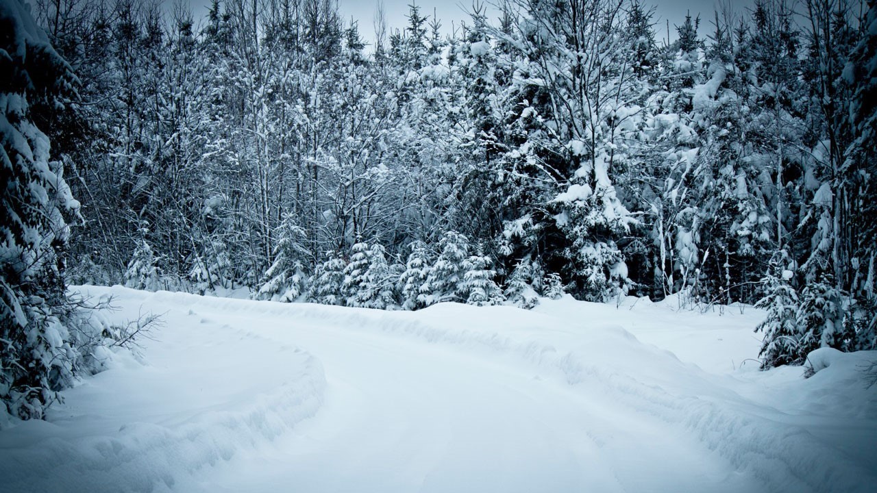Le Club Rendez-Vous présente la 1re édition du Défi hivernal Rendez-Vous, le dimanche 23 février 2014, à 10 h, au 7925, 127e Rue, à Saint-Georges.